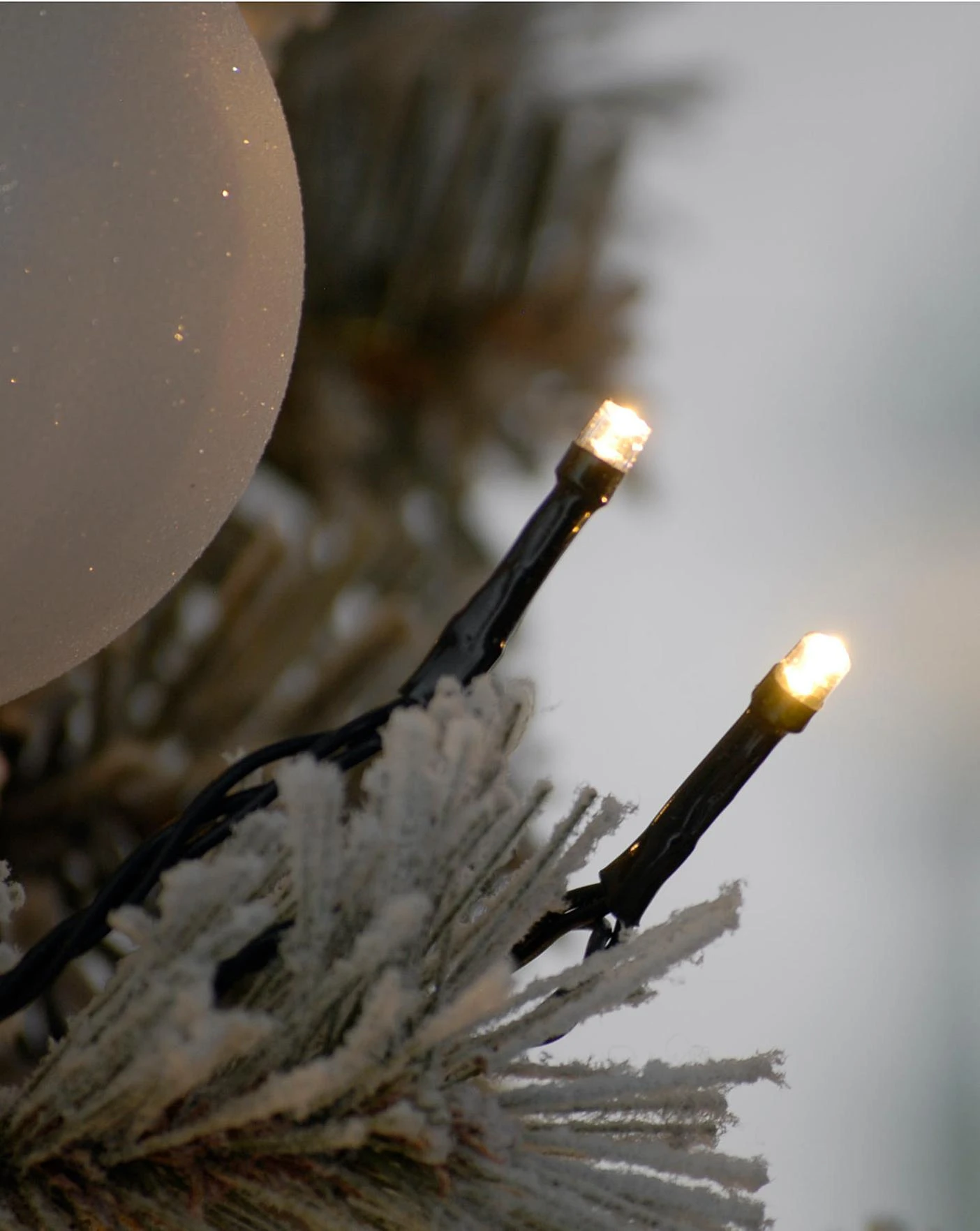 Warm White Mains Powered String Lights 5 Warm White Mains Powered String Lights - Image 3